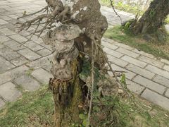 -蔡家宅