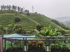 -心无尘茶餐馆(径山村店)