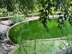 -成都市活水公园