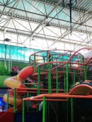 -爱丽丝奇幻乐园