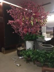 -至爱至信新中式SPA疗愈会所