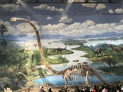 -自贡恐龙博物馆