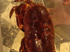 -亚特兰蒂斯·蟹餐厅 CRAB KITCHEN·鲜活海鲜