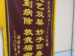 -中农国际动物医院24小时·猫科·骨科·急重症中心