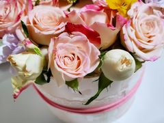 -5Cake五度无蔗糖低脂蛋糕(陶然亭店)