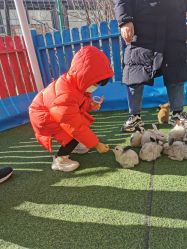 -萌宠亲子动物乐园(槐房万达店)