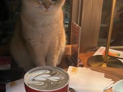 -咖法森林·咖啡  酒吧(天河店)