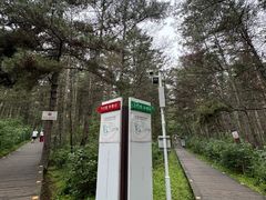 -帽儿山国家森林公园