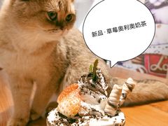 -猫小院猫主题餐厅(三里屯店)