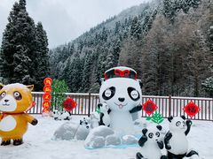 -瓦屋山景区