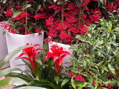 -秦美花卉(天朗·莱茵小城2期店)