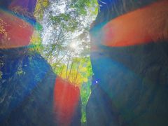 -牛背梁国家森林公园