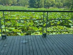 -3W咖啡(国家软件园店)