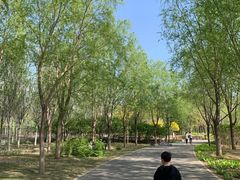 -东郊湿地公园