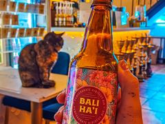 -Sirena海妖日咖夜酒