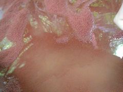 -黄山温泉国际旅游度假区