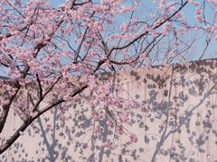 -静安雕塑公园
