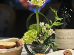 -蝶舍·MAISON PAPILLON