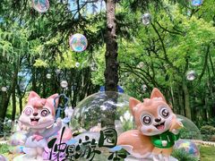 -上海共青森林公园