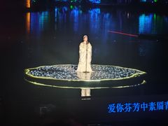 -印象西湖·最忆是杭州实景演出