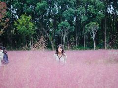 -昆山城市生态森林公园