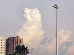 -中国银行(辽宁省分行营业部)