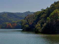 -深圳仙湖植物园