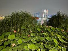 -金鸡湖景区