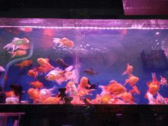 -双季花艺园艺市场(浦东店)