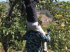 -高家大院烤全羊