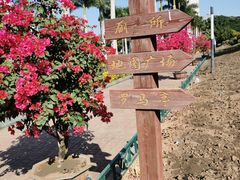 -五通灯塔公园