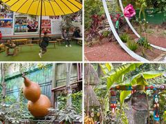 -呀路古热带植物园