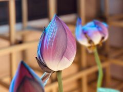 -绣园·茶食宴(湘绣博物馆店)