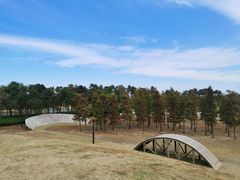 -春花秋色城市公园