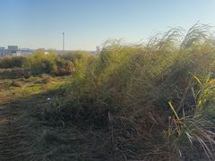-鄱阳湖国家湿地公园
