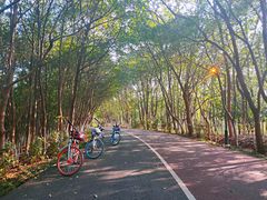 -艾溪湖湿地公园