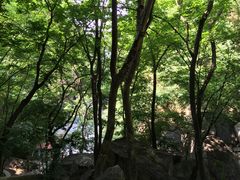 -北京上方山国家森林公园