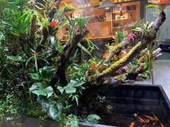 -森味薪火烧•烧鸟居酒屋•日本料理(望京店)