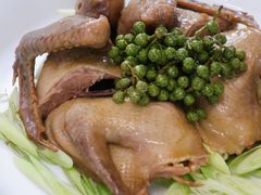 青花椒香茅老井盐水乳鸽-云腾食府·云南菜