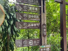 -西双版纳原始森林公园