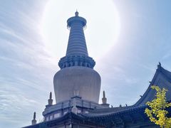 -张掖大佛寺景区