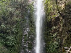 -莫里热带雨林景区