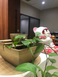 -柠润·Onda塑形·海菲秀·科技美肤中心
