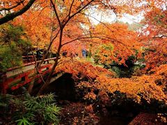 -醍醐寺