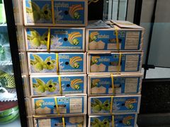 -东椰·海南椰子鸡火锅(朝阳门店)