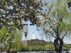 -北海公园-停车场