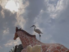 -杭州野生动物世界