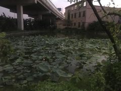 -正嘢私房菜