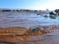 -月亮湾湿地公园