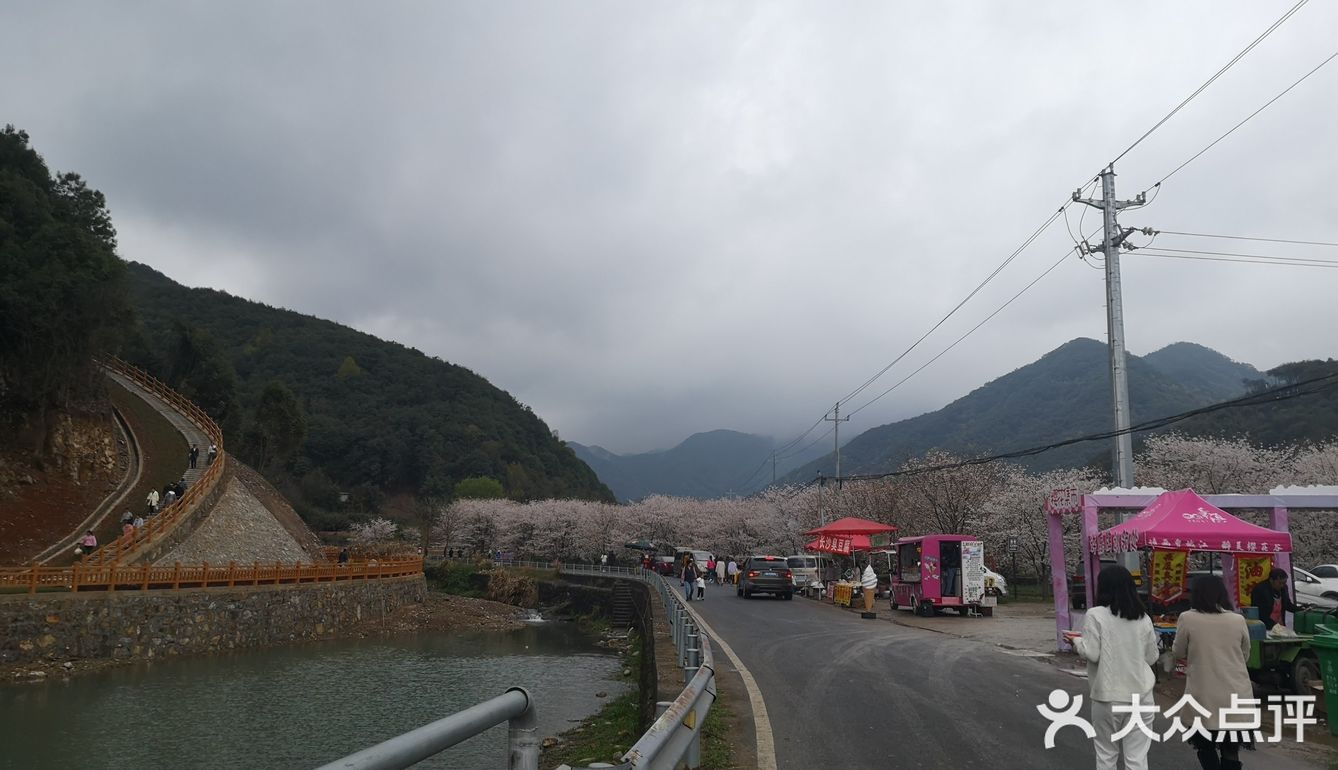 上虞章镇张村樱花谷